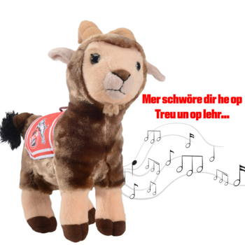 1. FC Köln - Spieluhr Hennes